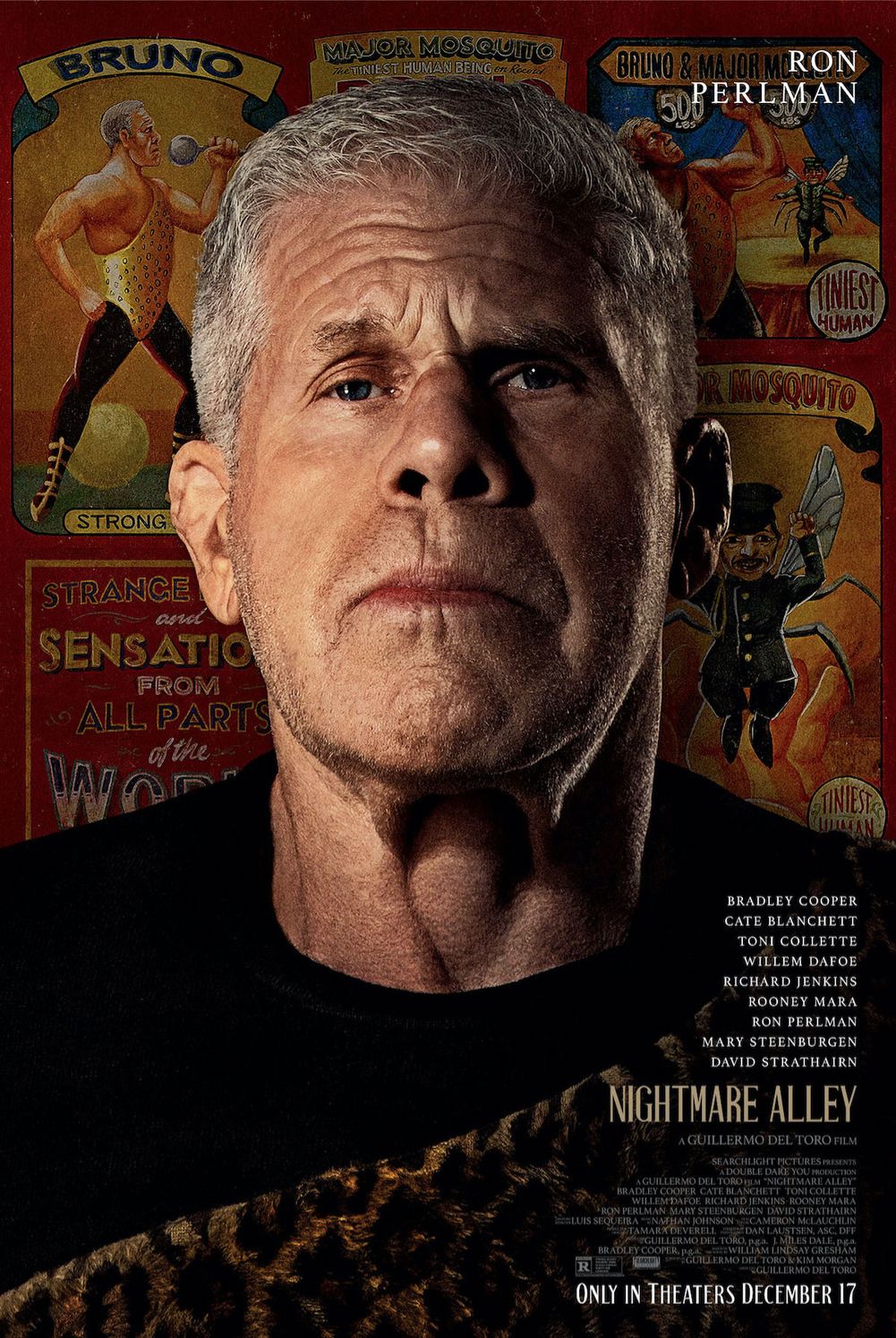 Nightmare Alley poster #6